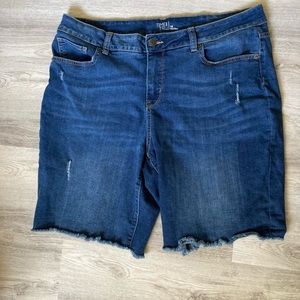 Time and tru size 18 shorts